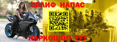 дмт Пушкино