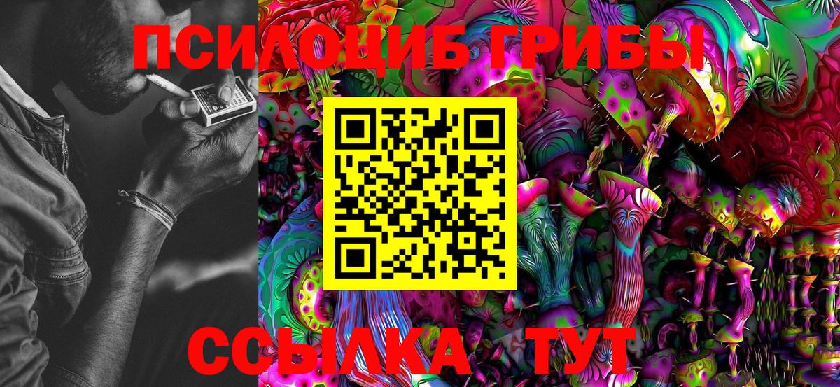 Псилоцибиновые грибы Magic Shrooms  Галлюциногенные грибы GOLDEN TEACHER  как найти закладки  Советск  Вход с VPN 