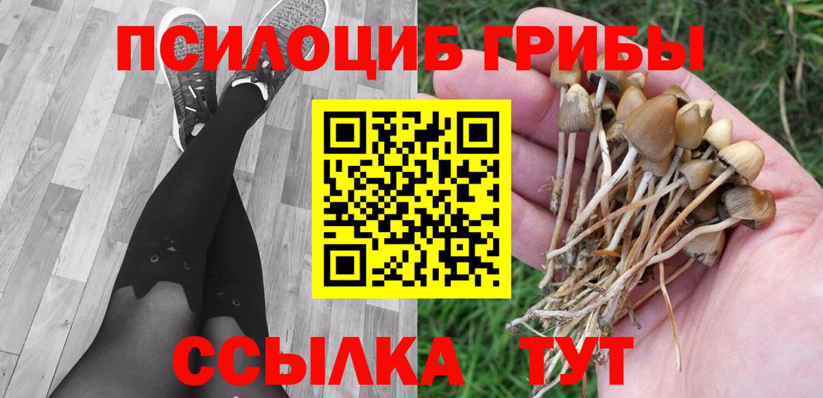 Псилоцибиновые грибы Magic Shrooms Советск